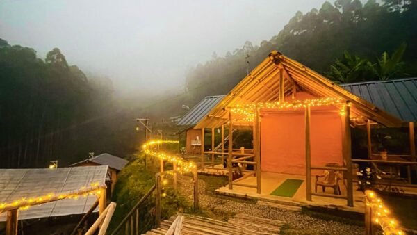 wildblooms (13) Wild Bloom Vattavada Tent Camping