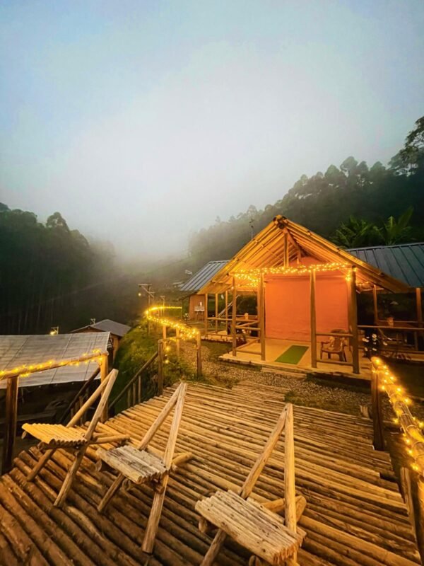 Wild Bloom Vattavada Tent Camping