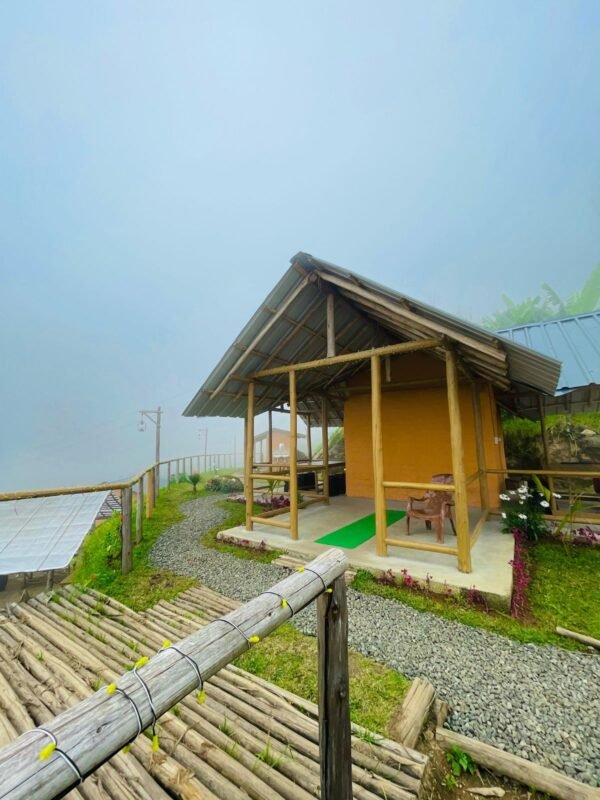 Wild Bloom Vattavada Tent Camping