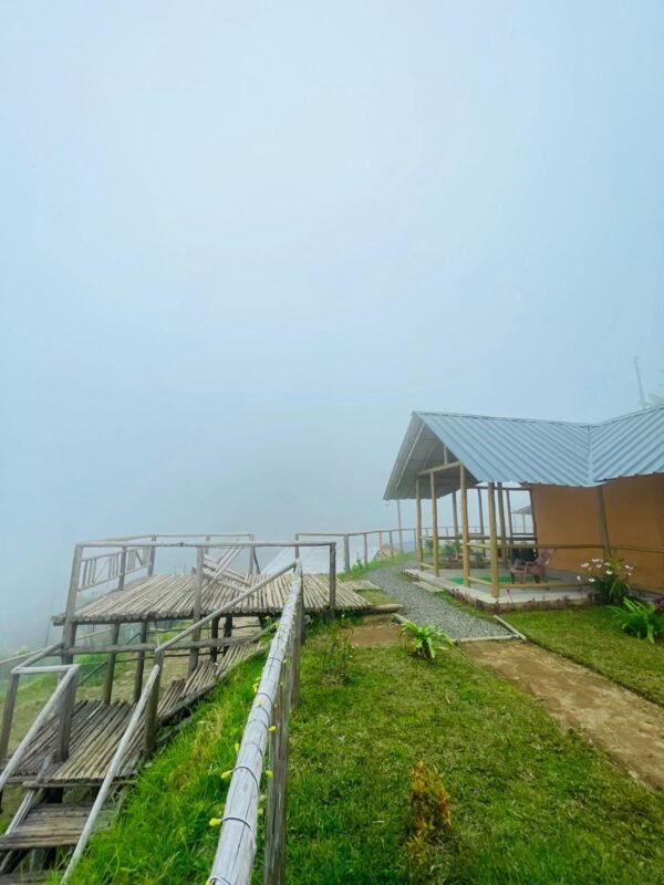 Wild Bloom Vattavada Tent Camping