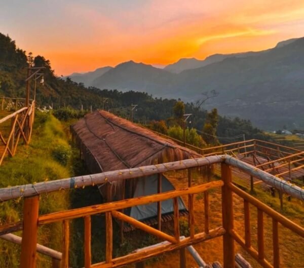 Wild Bloom Vattavada Tent Camping