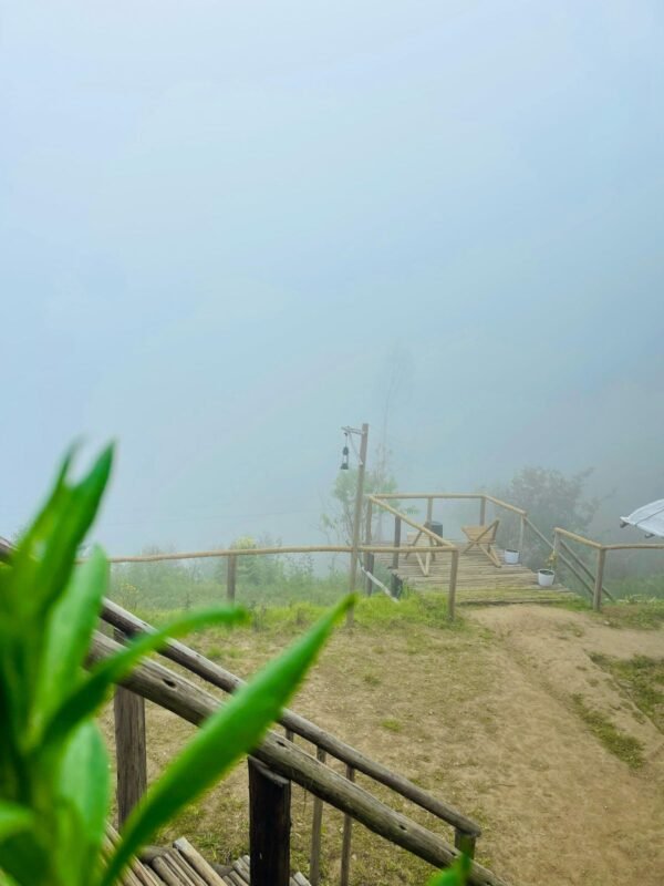 Wild Bloom Vattavada Tent Camping