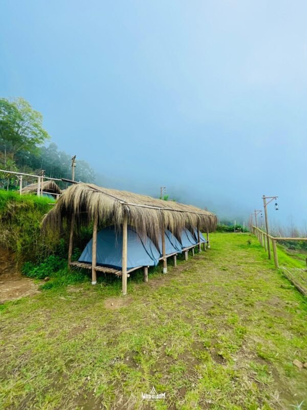 Wild Bloom Vattavada Tent Camping