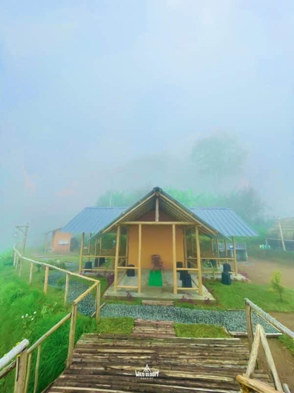 Wild Bloom Vattavada Tent Camping