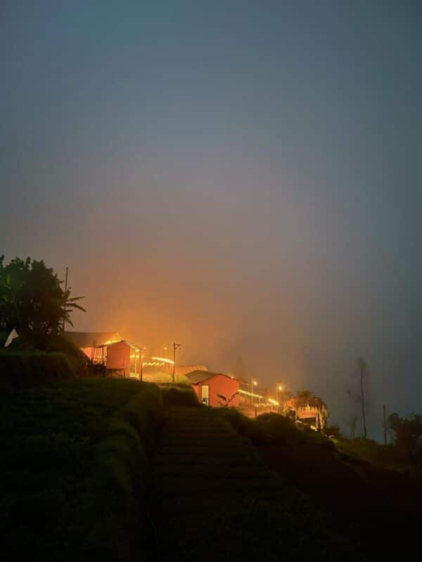 Wild Bloom Vattavada Tent Camping