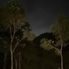 Munnar A Frame Cabin | 2 Bedroom Private Stay WIth Pool
