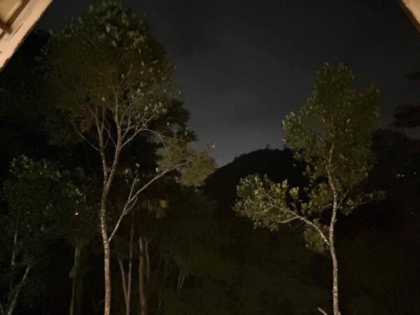 Munnar A Frame Cabin | 2 Bedroom Private Stay WIth Pool