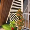 Munnar A Frame Cabin | 2 Bedroom Private Stay WIth Pool