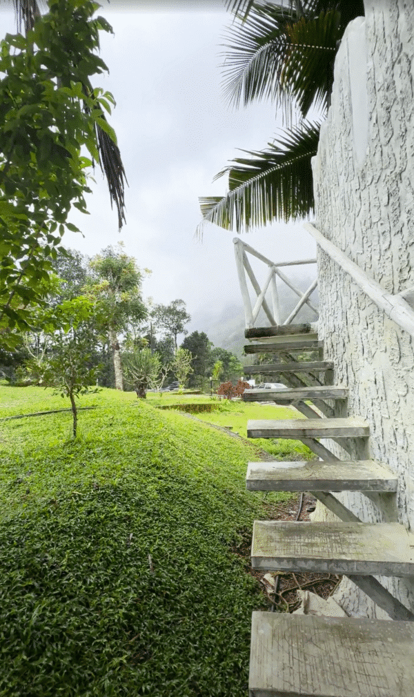 Golden Rock A-Frame | 3 Bedroom Stay in Mamalakandam