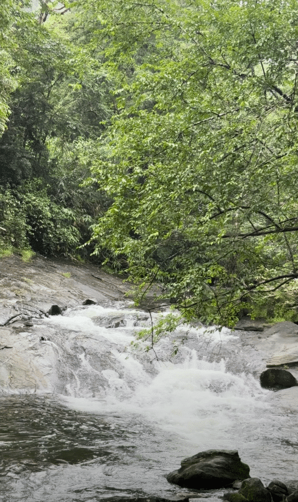 Golden Rock A-Frame | 3 Bedroom Stay in Mamalakandam