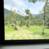 Golden Rock A-Frame | 3 Bedroom Stay in Mamalakandam
