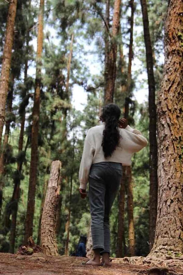 1 Night 2 Days A Frame Stay Munnar | Family Package