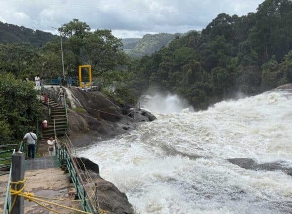 2 Night 3 Days Munnar Group Package