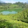 2 2 Night Munnar Honeymmon Package