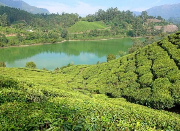 2 2 Night Munnar Honeymmon Package