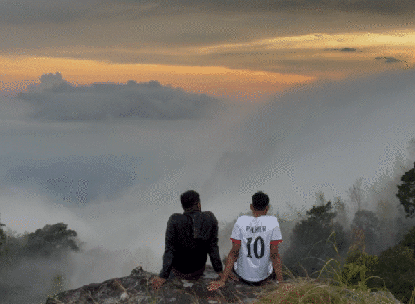 2 Night 3 Days Munnar Group Package|  Jeep Safari + Dinner + Campfire + Pool Stay | Family Package