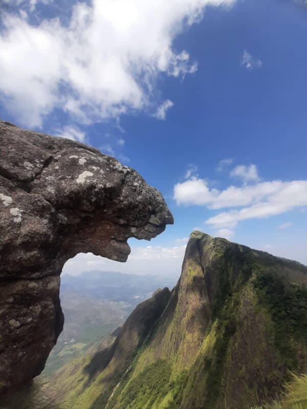 1 Night Kolukkumalai Package    | Starting from 1900