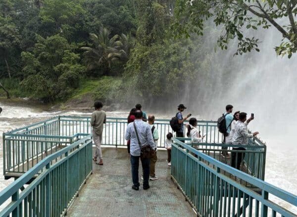 2 Night 3 Days Munnar Group Package