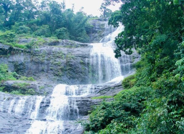 5 2 Night Munnar Honeymmon Package