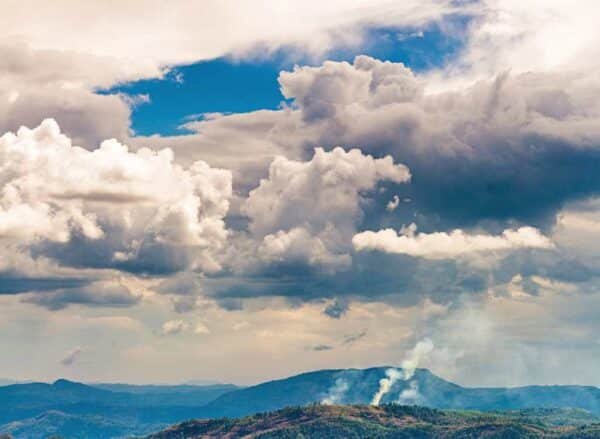 6 2 Night Munnar Honeymmon Package