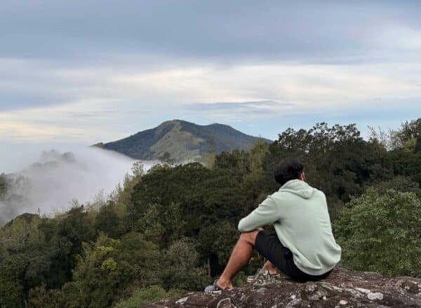 2 Night 3 Days Munnar Group Package