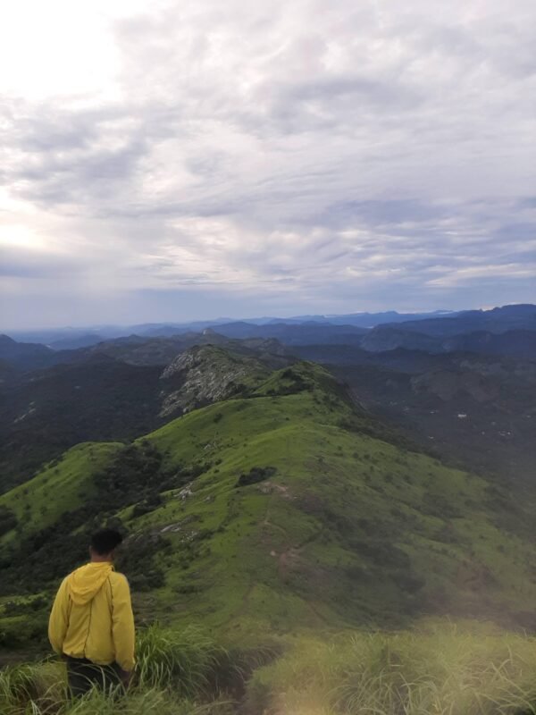 1 Night Kolukkumalai Package    | Starting from 1900