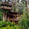 2 Night Munnar Treehouse + Marayoor Honeymoon Mudhouse Package