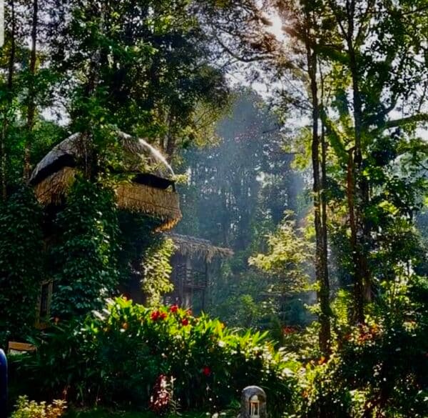 2 Night Munnar Treehouse + Marayoor Honeymoon Mudhouse Package