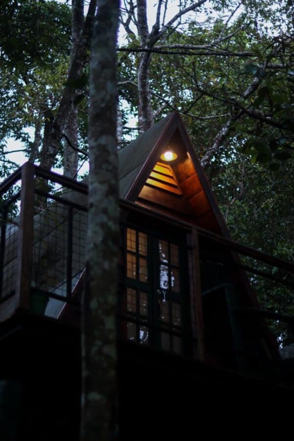 3 Night 4 Days Munnar | 2 Bed A Frame Stay &  Alleppey Houseboat Family Package