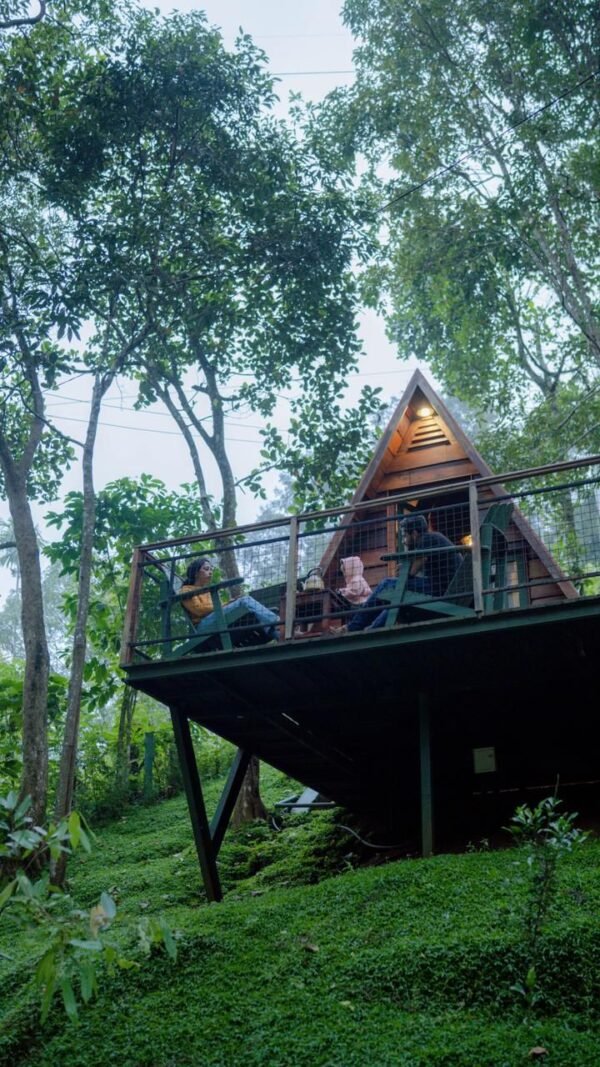 WhatsApp Image 2025-11-20 at 21.15.13 (1) 1 Night Munnar A Frame Cottage Honeymoon Package
