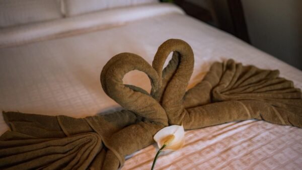 WhatsApp Image 2025-11-20 at 21.15.13 (2) 1 Night Munnar A Frame Cottage Honeymoon Package