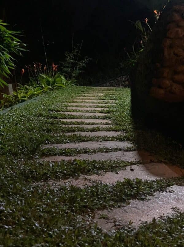 WhatsApp Image 2025-11-20 at 21.15.13 (3) 1 Night Munnar A Frame Cottage Honeymoon Package