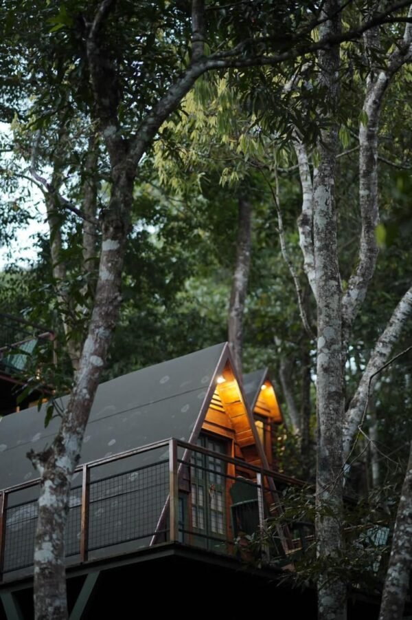 WhatsApp Image 2025-11-20 at 21.15.14 (1) 1 Night Munnar A Frame Cottage Honeymoon Package