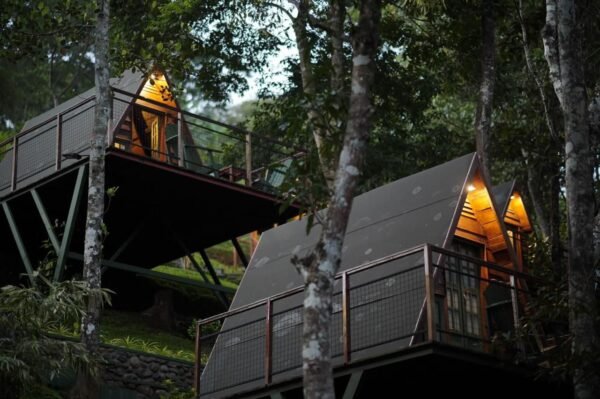 WhatsApp Image 2025-11-20 at 21.15.14 (2) 1 Night Munnar A Frame Cottage Honeymoon Package