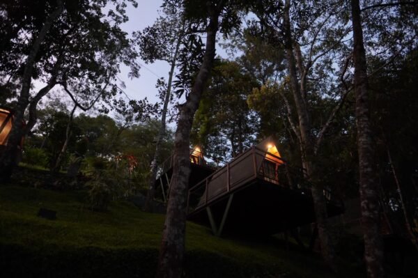 WhatsApp Image 2025-11-20 at 21.15.14 (3) 1 Night Munnar A Frame Cottage Honeymoon Package