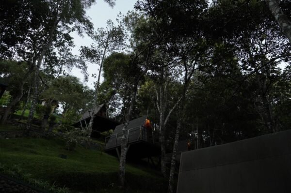 WhatsApp Image 2025-11-20 at 21.15.14 1 Night Munnar A Frame Cottage Honeymoon Package