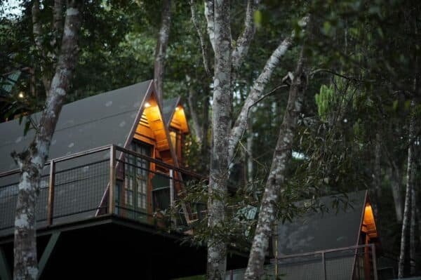 WhatsApp Image 2025-11-20 at 21.15.15 (1) 1 Night Munnar A Frame Cottage Honeymoon Package