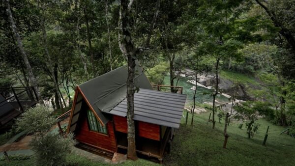 1 Night Munnar A Frame Cottage Honeymoon Package