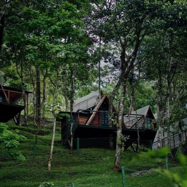 WhatsApp Image 2025-11-20 at 21.15.15 (3) 1 Night Munnar A Frame Cottage Honeymoon Package