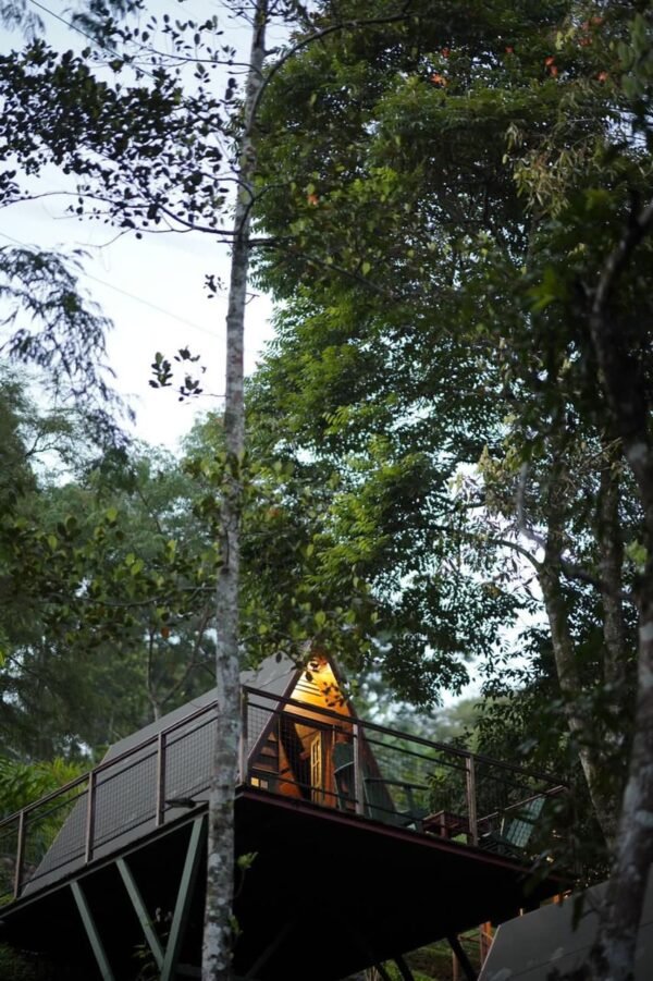 WhatsApp Image 2025-11-20 at 21.15.15 1 Night Munnar A Frame Cottage Honeymoon Package