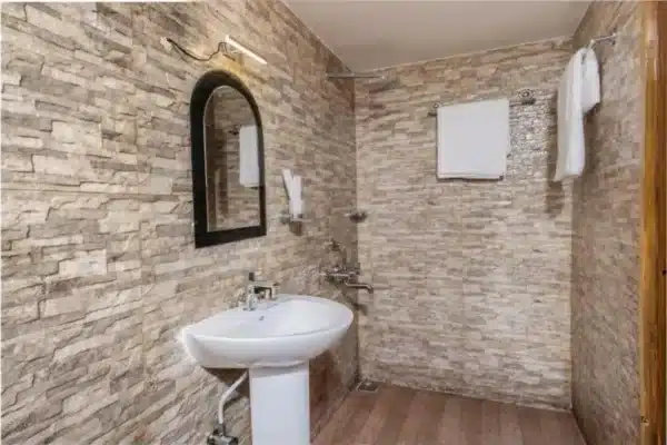 6 bed luxury2 6 Bedroom Luxury Houseboat in Alleppey