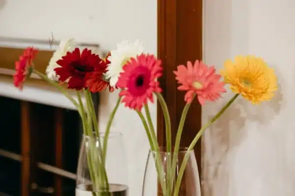 Houseboat luxury5.jpg 5 Bedroom Luxury Houseboat With Upper Deck